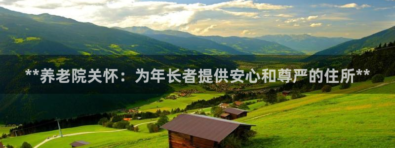 韦德的游戏