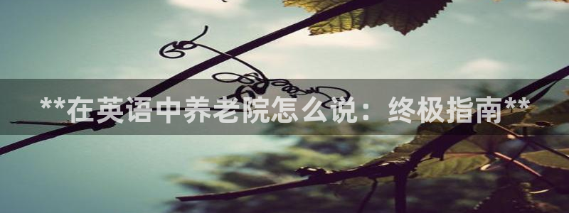 韦德游戏网址