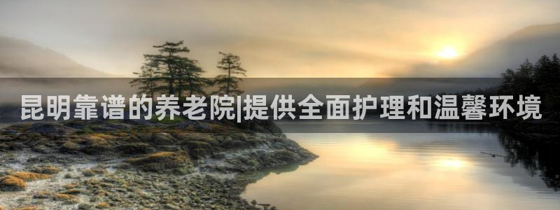 韦德 网址