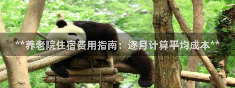 韦德是哪个