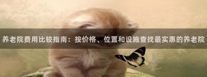 韦德网址是多少