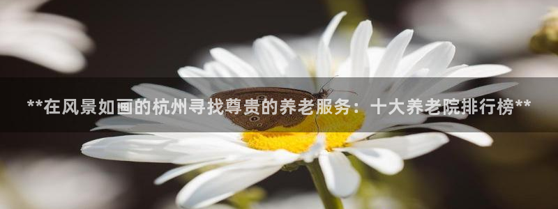 韦德游戏大厅