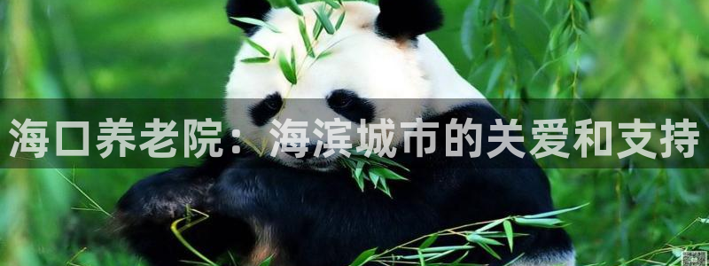 韦德的地位