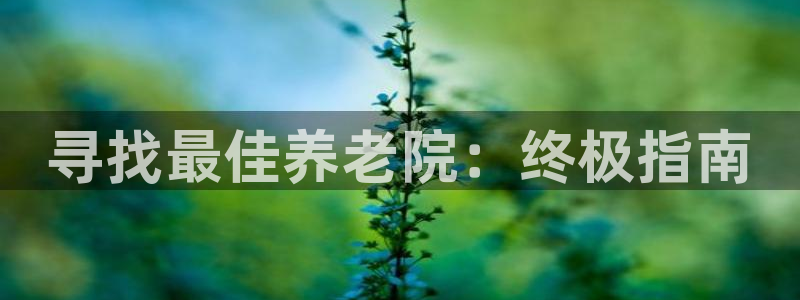 韦德2016