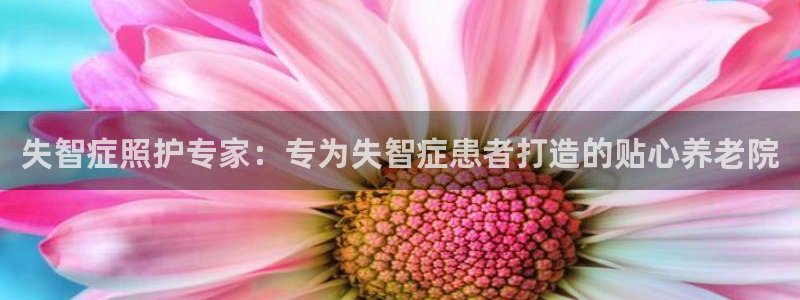 韦德全系列