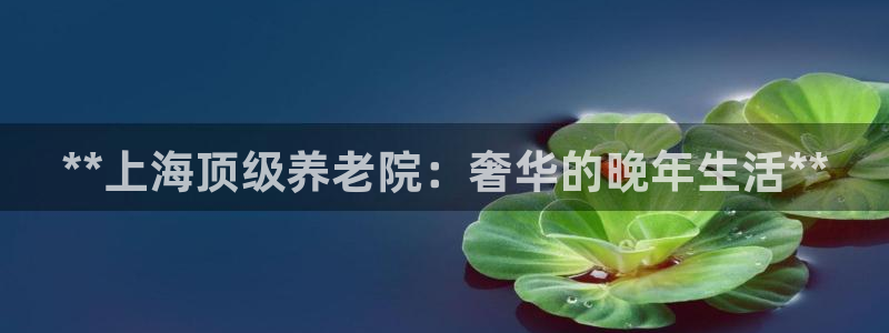 韦德 网址