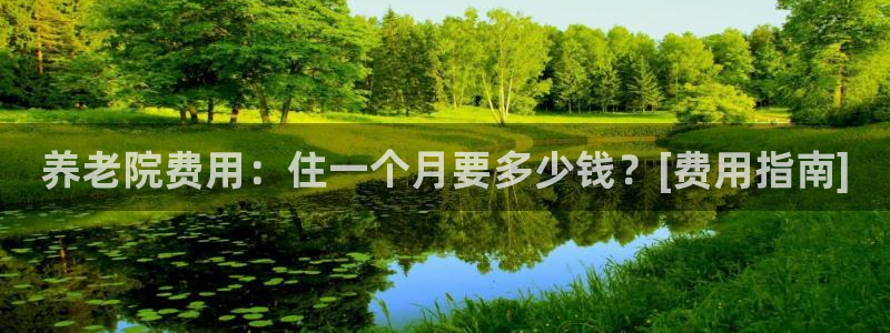 韦德网址