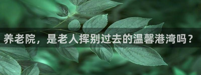 韦德 网址