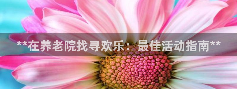 韦德的游戏