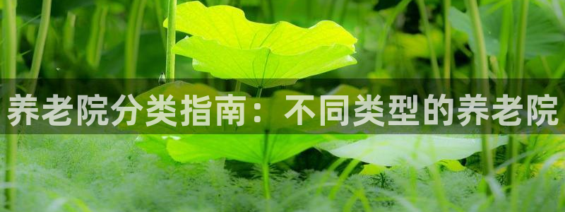 韦德1946客户端