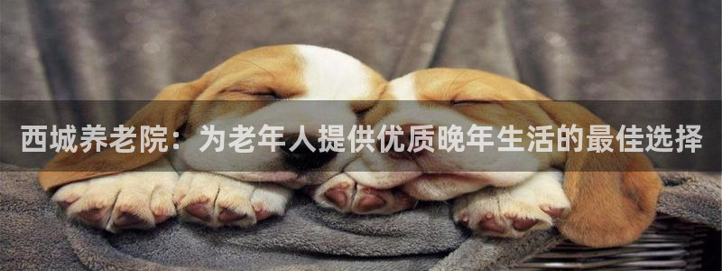 韦德 网址