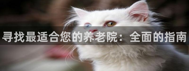 韦德1946下载