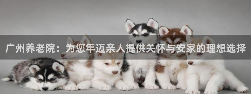 1946韦德游戏