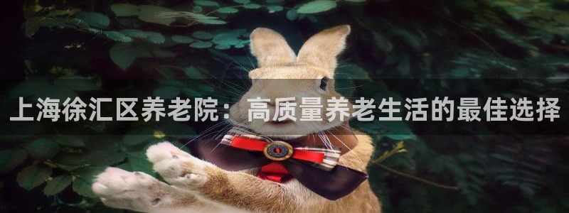 韦德1946备用网站