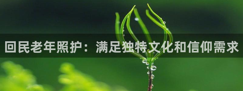 韦德1946客户端