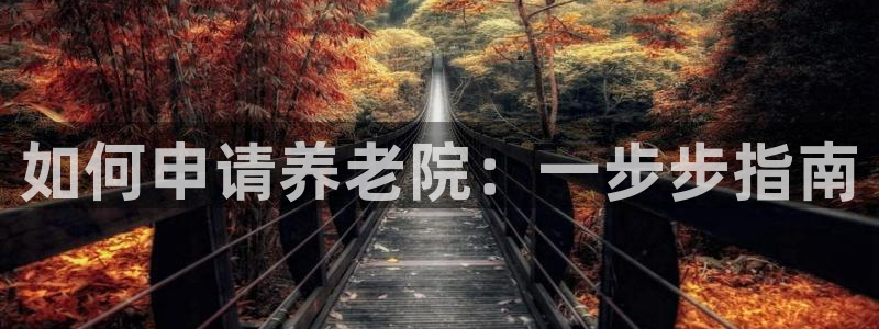 韦德是哪个