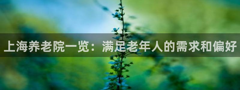 韦德1946体育