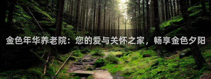 韦德网址