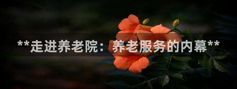韦德官网在线