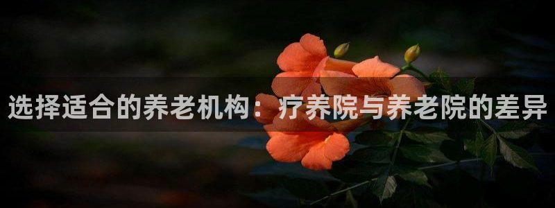 韦德 官网