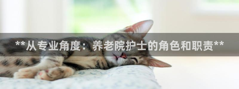 韦德合集