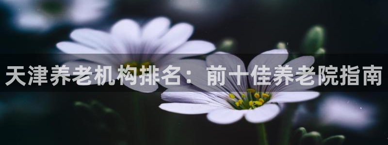 韦德1946始于英国