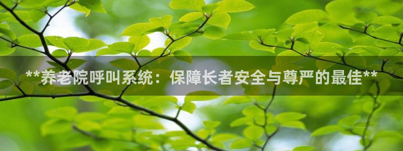 韦德1946官网最新版