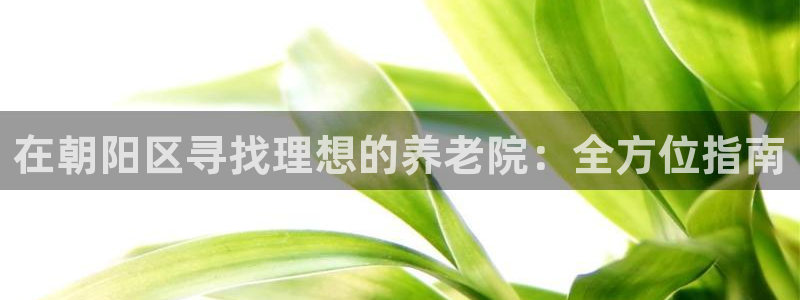 韦德是哪一届