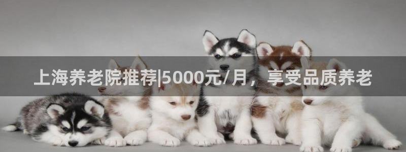 韦德1946博客