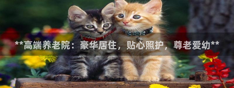 韦德1946手机网址