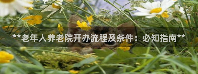 韦德1946官方