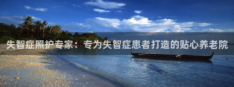 韦德游戏是什么