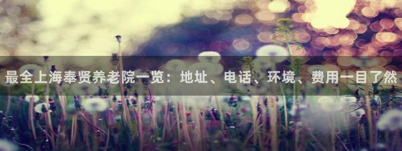 韦德1946中文官网