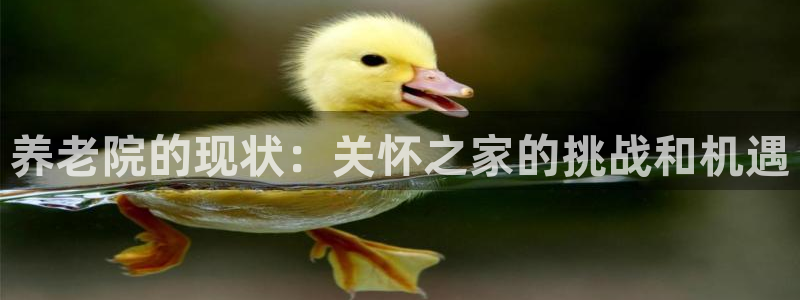 1946韦德网站