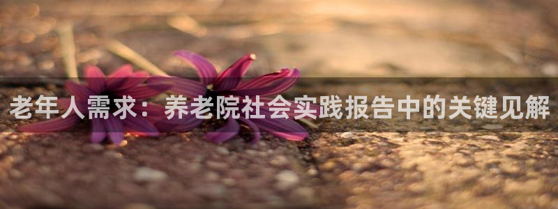 韦德2016