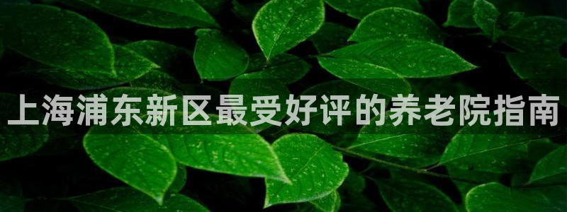 韦德1946手机版