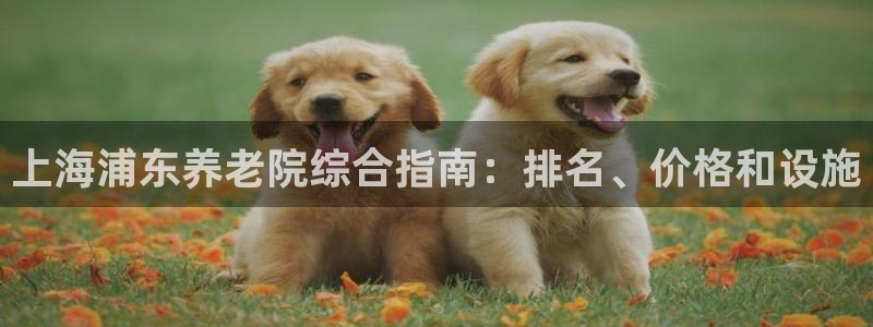 韦德网址