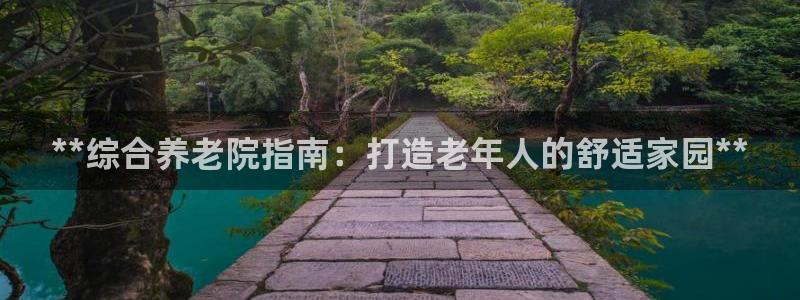 韦德2016
