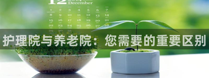 韦德1946源自英国