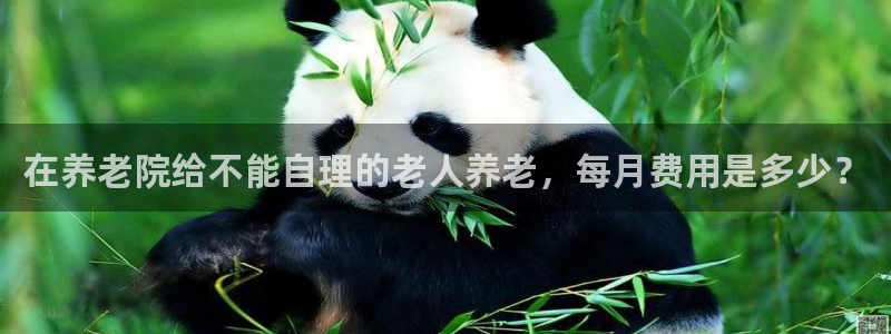 韦德网址是多少
