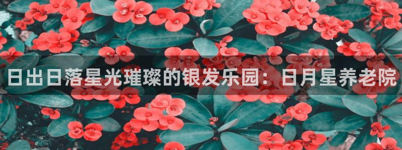 韦德国际体育