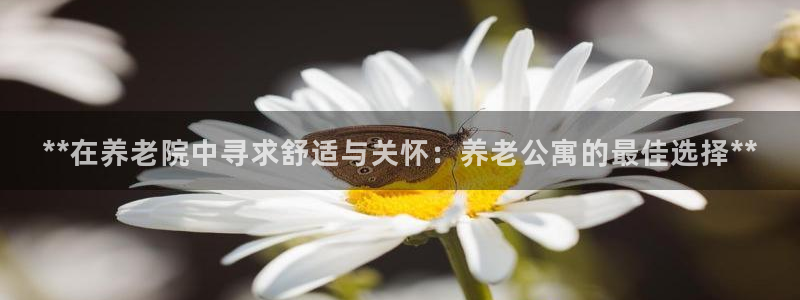 韦德1946bet