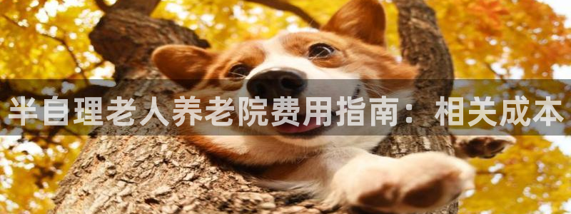 韦德1946中文官网