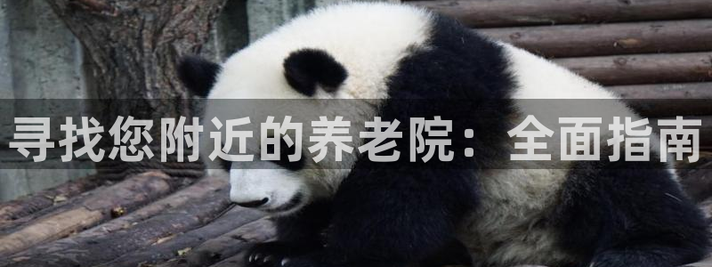韦德游戏是什么