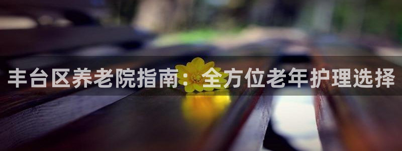 韦德的游戏