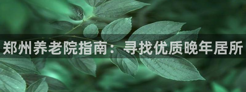 韦德官方网址