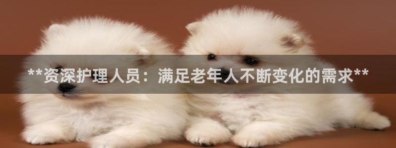 韦德游戏是什么
