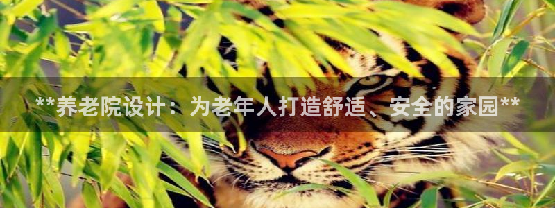 韦德1946bet