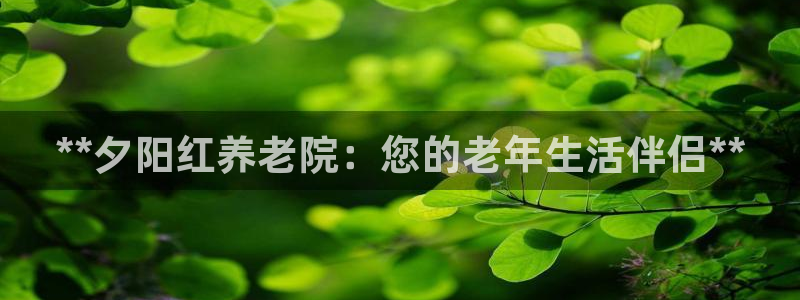 1946韦德网站
