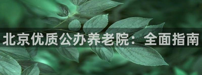 韦德下载